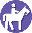 icon-equestrian