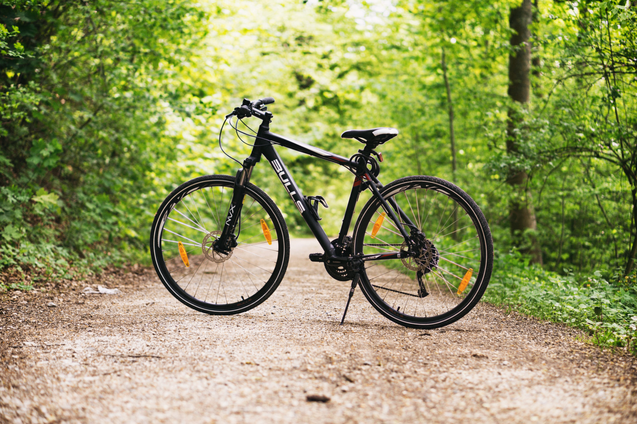 Unicoi mountain bike trail deals