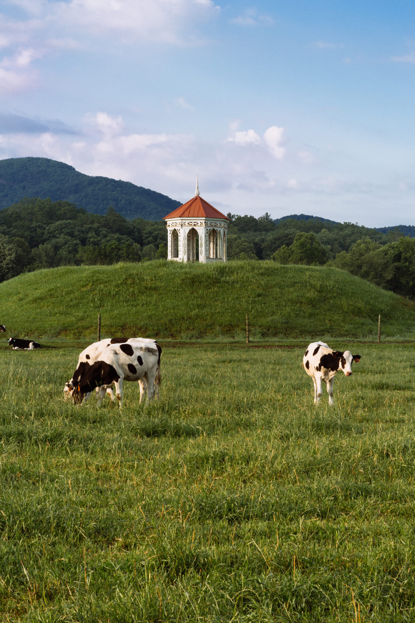 Nacoochee Moun in Helen, GA