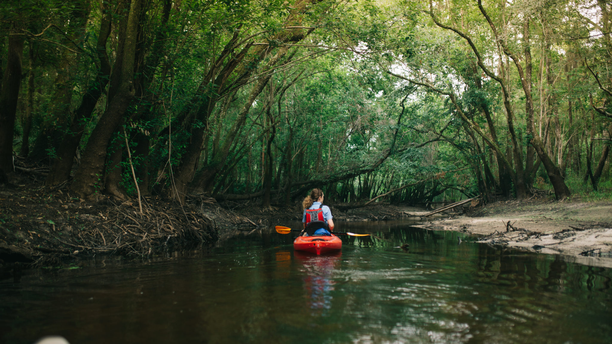 Experience Pierce County,