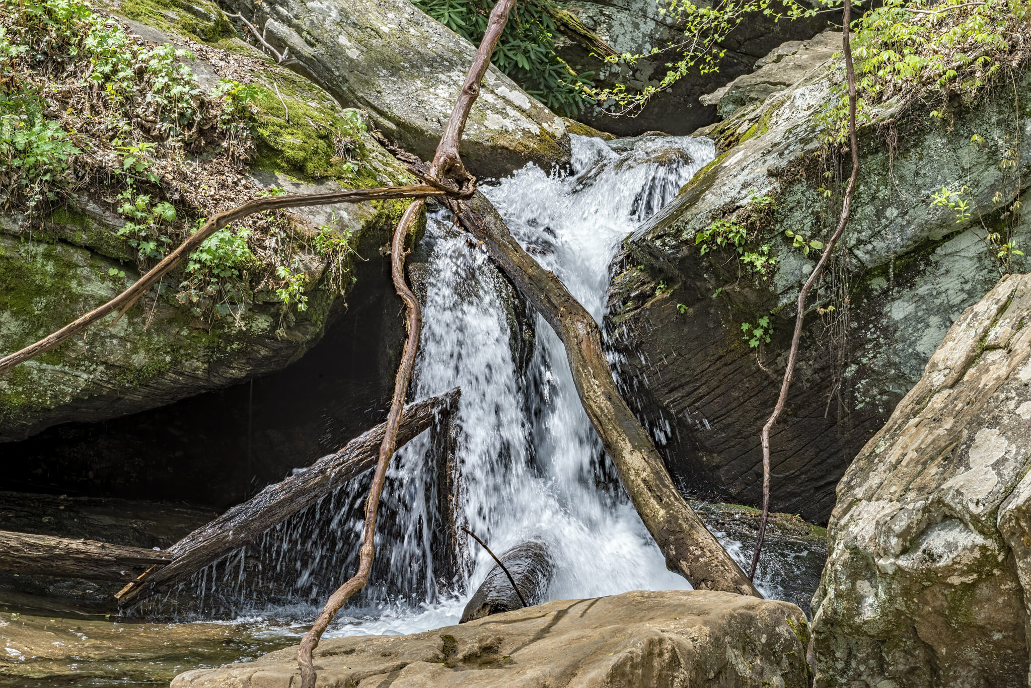 Raven Cliff Falls