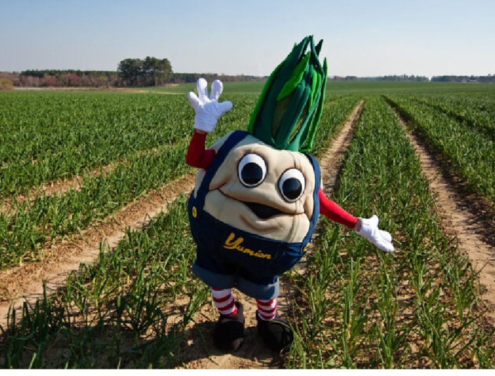 Person dressed in an onion costume with "Yumion" written across the front, standing in a field of growing onions